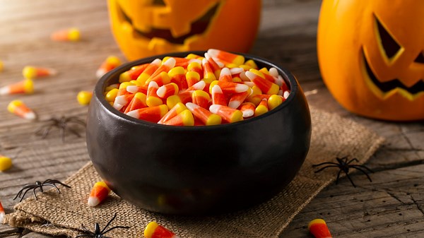 Florida’s surprising favorite Halloween candy revealed! 🍫