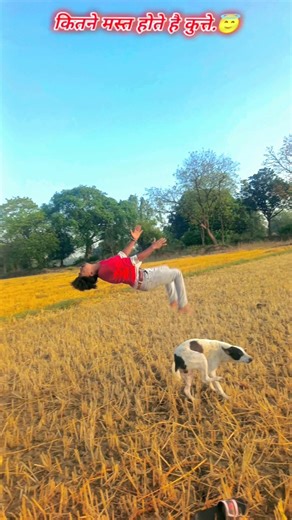 Dog is😰best🐶 and amazing dog flip #viraljump​​​​​​#dogshorts​​​​​​ #dogclothes​​​​​​#animal#youtube🙏
