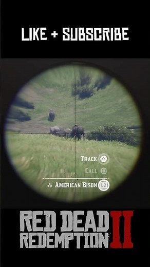 RDR2: Perfect 3-Star Bison Hunt | Animal hunting | #rdr2 #reddeadredemption2 #gaming