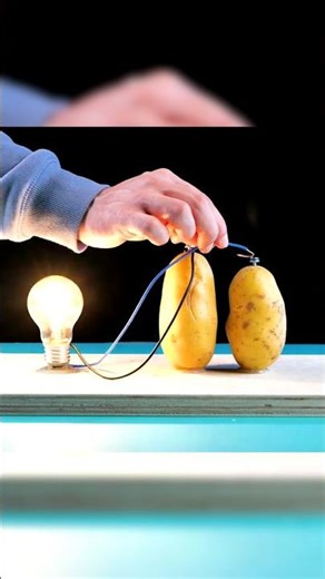 physics experiment || experiment shorts #trending shorts #viral shorts #ytshort #physics shorts