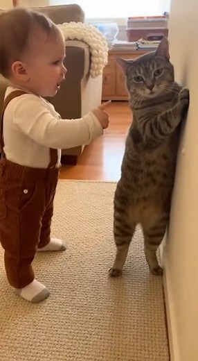 Baby Strictly Scolds Cat Standing on Two Legs 😂🐱 | Cutest Baby & Cat Argument Ever! In this adorable and funny home moment, a tiny baby stands in the living room looking very serious — pointing a little finger straight at the cat! 👶👉🐱 The real cat is already standing on her two back legs, pressed against the wall in a scared, guilty pose like she’s been caught doing something naughty. As soon as the baby starts scolding loudly in baby language, the cat nervously replies with soft “meow… meo