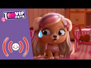 🔴 AVENTURAS INCREÍBLES 🤣 VIP PETS 🌈 DIRECTO 💕 PARA NIÑOS en ESPAÑOL