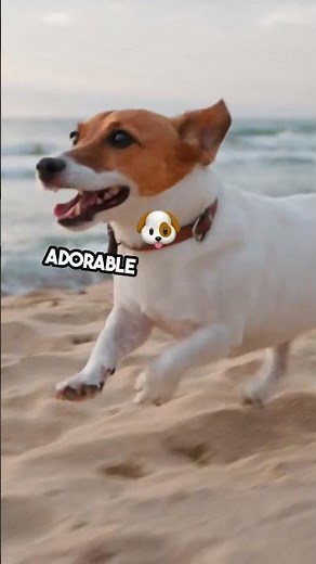 🐧 Why Do Penguins Waddle? The Adorable Science Behind It! ✨