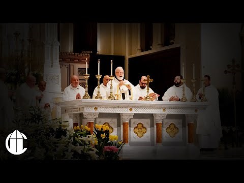 Easter Vigil Mass: 4/11/20