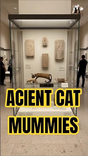 Mummy Cats of Ancient Egypt: The Mysterious Feline Guardians