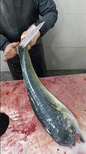 Mahi-Mahi Breakdown Like a Pro – From Skin to Steak!🐟🔥