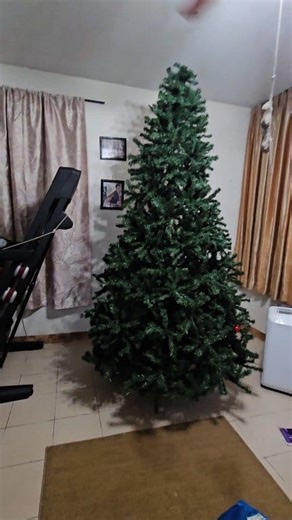 1K views · 25 reactions | It's time!  #christmastree | Rex Getty | Facebook