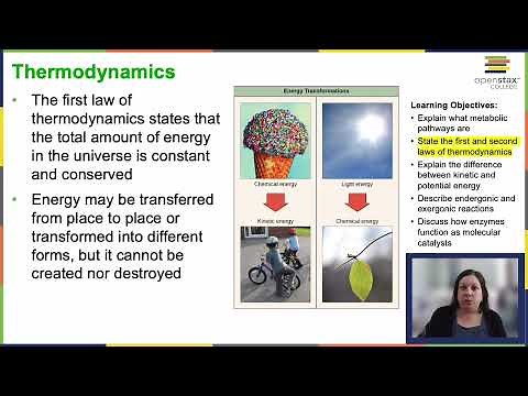 OpenStax Concepts of Biology Chapter 4.1 Part 2