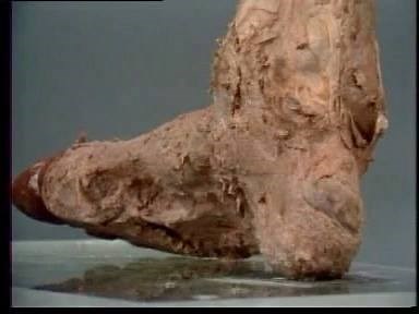 4.1K views · 67 reactions | Modern Research on the Subtalar and...