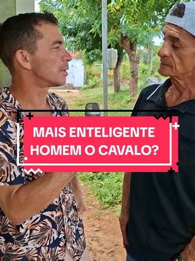 QUEM É MAIS ENTELIGENTE O HOMEM OU O CAVALO?#comédia #humor #euemeupai #charada #adivinha
