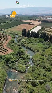 Dan River, North of Palestine | Palestine International Broadcast