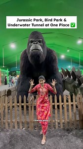 1M views · 5.2K reactions | India’s biggest carvinal now in Pune -Jurassic Park- Giant dinosaurs練 秊 -Bird Park- Exotic birds 廉 閭閭 -Under water tunnel- 100+ varieties of Fish   -Cranival games and fun rides and shopping  -Only 100₹ entry fee. Timing: 4PM to 10PM Kakde Maidan, Samvidhan Chowk, Opp. To Kedari Petrol Pump, Wanwadi, Pune Follow @maze.pune For More ✅ . . . #punecity #pune #punekars #fishtunnel #carnival #wanwadi | maze.pune | Facebook