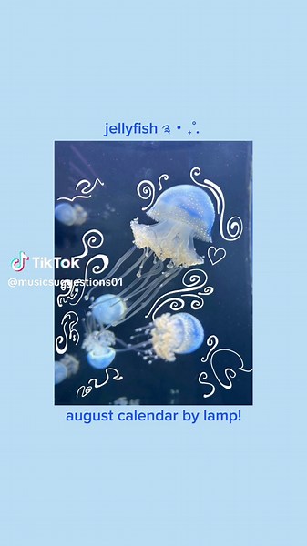 music suggestions on TikTok