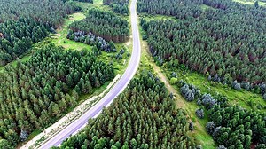 How China fights desertification