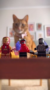 Paws what you’re doing, this tail is too good to miss! LEGO Marvel Avengers: Strange Tails is now available on Disney . Gather your furry ones and dive into an epic new mission. #LEGO #Marvel #Avengers | Avengers