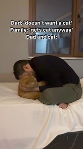 Classic 😹😹 | Apollo Kitty Cat