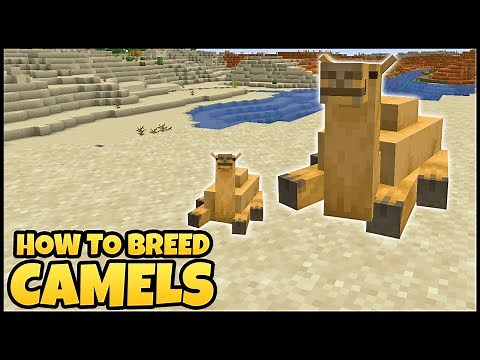 How To BREED CAMELS In MINECRAFT