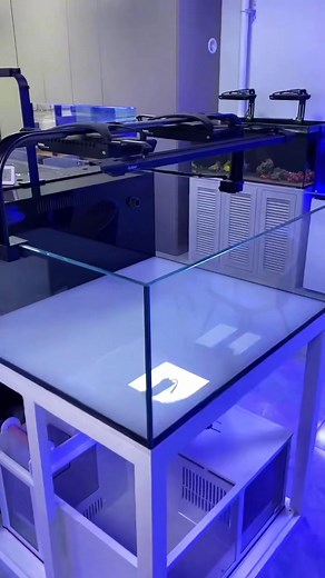 Your reef setup, your way! 🐟✨ Seatorch Multifunction Flying Wing offers you flexible mounting options for rimless and braced tanks—stability and style combined. For more information please visit our website - www.seatorch.com.au #coral #seatorch #seatorchaustralia #reefaddict #allmymoneygoestocoral #marinelife #reefaquarium | Seatorch Australia