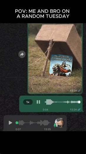 POV: Me and Bro on a random Tuesday #mountandblade #gaming #games