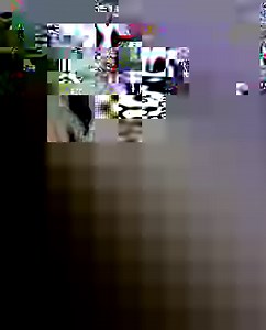 36M views · 1.2M reactions | Who knew parrots could be so dramatic! 藍列 | Sassy | Facebook