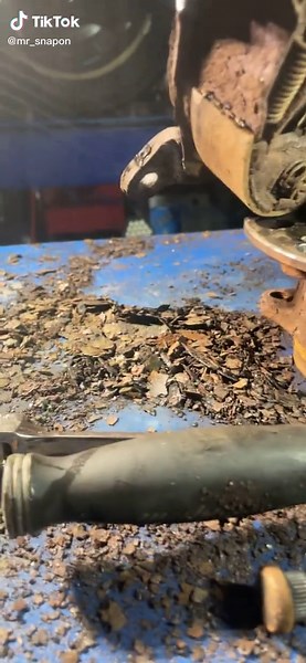 Chicago rust is crazyyyy 😱 What does your car rust look like? Drop a comment below! 🚗🔧 #mechanic #automotive #technician #fordranger #chicago #mobilemechanic