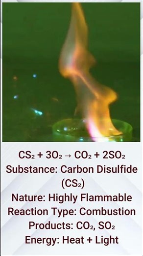 Carbon Disulfide + Liquid Oxygen 😲 | Tez Chemical Reaction | Science Ka Dhamaka 🔬✨