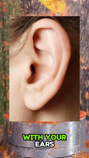 Brain Shorty on Instagram: "Dd you know?😂 #fyp #facts #explore #explorepage✨"