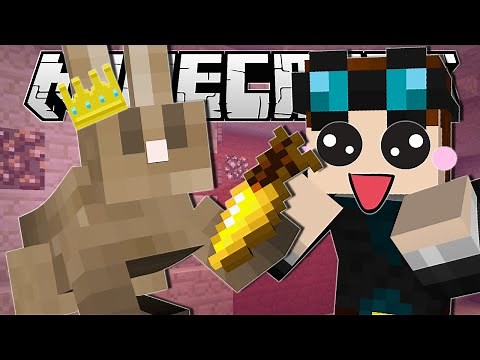 Minecraft | SAVE THE BUNNY HERO!! | Rabbit Maze Custom Map