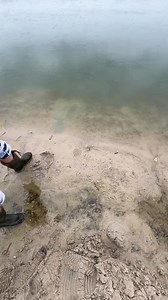 Search rakes. Beach scoops. Production and sale of search equipment. | Gold Search.