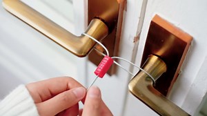 Nuogo 200 Pcs Steel Security Cable Seals 11.8 Inch Metal Numbered Anti-Tamper Shipping Seal Disposable Self Locking Numbered Tags for Container Trailers Cargo Trailer Truck(Blue)