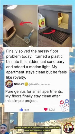 Is your cat living better than you with this simple DIY luxury bathroom hack?