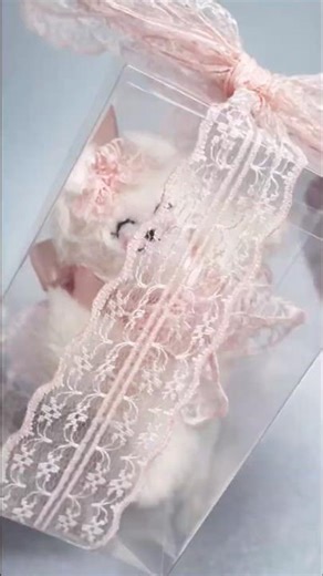 Mini cat in a skirt 😻 #diy