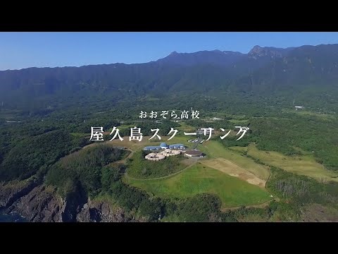 おおぞら高校|屋久島スクーリング_long