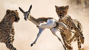 3.2K views · 153 reactions | To mark #InternationalWomensDay we’re...