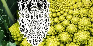 The Complete Human Biofield & What really is Electricity ?