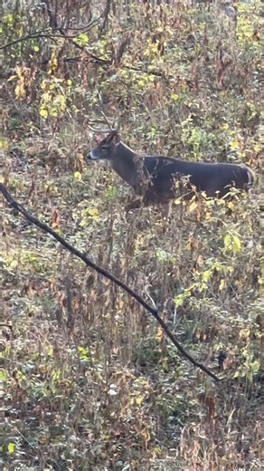 Justin Cook on Reels