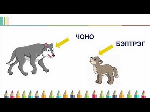 Амьтны төлийг нэрлэж сурцгаая