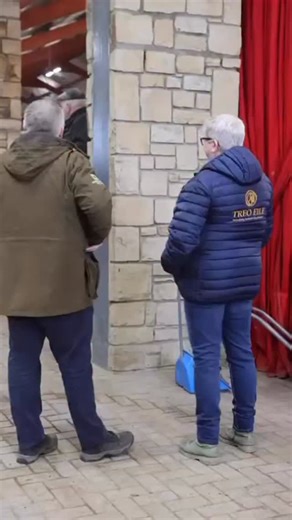 🐴 HSI Stallion Selections 2026 - Applications Now Open! Cavan Equestrian Centre - March 26-27, 2026 Prospective stallions can now apply for inspection for the Irish Sport Horse, Irish Draught Horse, and Irish Sport Pony studbooks. More info & applications: https://www.horsesportireland.ie/2026-stallion-selection-applications-open/ 🎬 Watch the highlight video! | Horse Sport Ireland