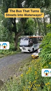 1.5K views |  Ever taken a bus… that drives into water?! This amphibious bus can go from road to river in seconds!   Would you dare to ride it? Comment below! #AmazingVehicles #AmphibiousBus #TravelGoals #ViralReels #adventuretime | Darin Mae Mahinay | Facebook