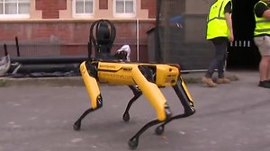 New robot arrives in Australia ready to revolutionise workplace safety