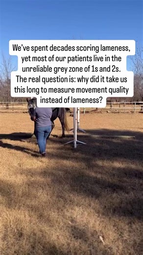 Comment EQoMS and we will send you our research summaries on this scoring system ❤️ Start measuring movement quality in your equine patients today! | Online Learning for Equine Vet Rehab Therapists