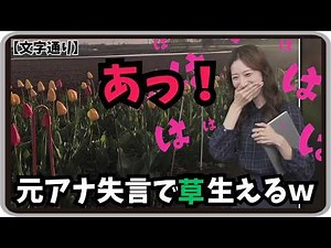 【田辺真南葉】『スタジオもいつの間にか・・・』「元女子アナまなっはーの失言で文字通りポヨンに草生えまくりwww」【ウェザーニュース】20260507