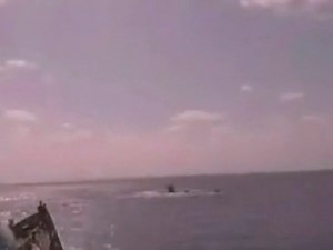 Navy frees pirates' hostages