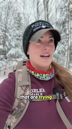 How to tell if it’s real maple syrup