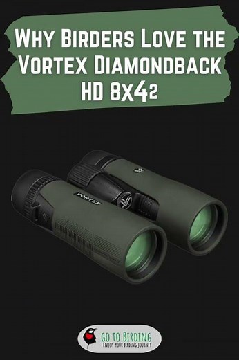 The Best Entry-level Binoculars: Vortex Diamondback HD 8×42 Binoculars Full Review