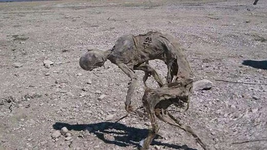 Signs of Alien Life Caught on Camera