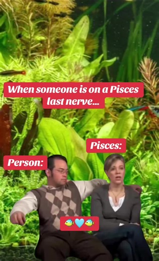 The slightest thing can annoy us, that is why we like our solitude 🩵🐠 #pisces #fyp #foryoupage #for #foryourpage