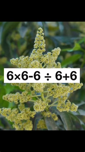 43K views · 328 reactions | Bodmas #math #satmath #satexam #SATPrep #exam #boardexams #mritunjaylectures #grade6 #Grade7 #Grade7Students 雷磊臨 | Mritunjay Lectures | Facebook