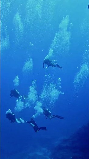 Diving Into the Deep Blue 🌊🤿 | Underwater Adventure #shorts