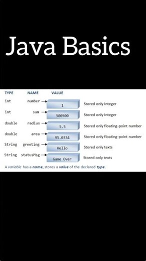 java basics data type #shortclips #coding #cybersecuritycompany